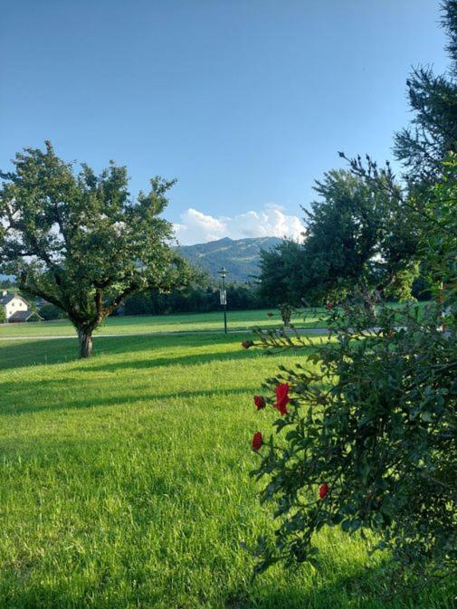 Apartment Aignerhof *